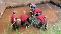 Des ouvriers découvrent un anaconda dans les égouts