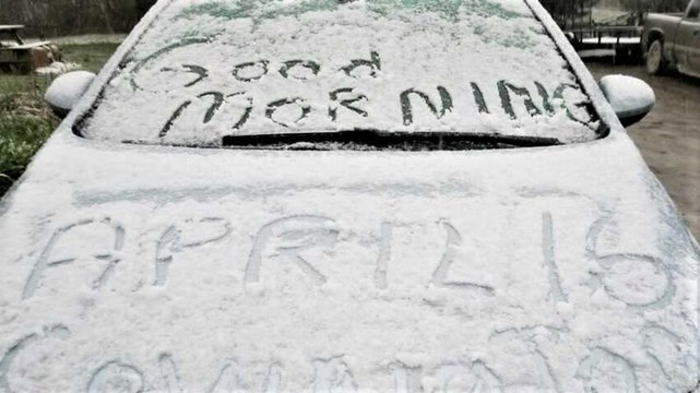 Midspring snowfall coats the Northeast
