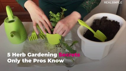 5 Herb Gardening Secrets Only the Pros Know