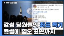 민주당 강성 당원들의 '좌표 찍기'...욕설에 혐오 표현까지 / YTN