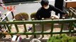 A Bamboo Fence Maker In Kyoto Makes A Bamboo Fence Called The Kinkakuji Fence.京都の竹垣屋さんが金閣寺垣を作る