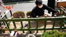 A Bamboo Fence Maker In Kyoto Makes A Bamboo Fence Called The Kinkakuji Fence.京都の竹垣屋さんが金閣寺垣を作る