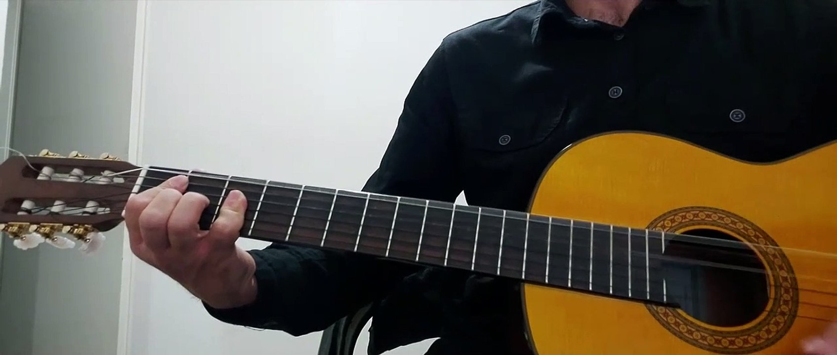 Nirvana - Pennyroyal Tea | Guitar & Vocal Cover