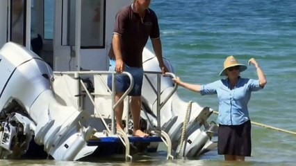 Hire car shortage hurting tourism in Far North Queensland