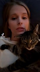 Cute Tabby Cat Mimics Owner Brushing Her Hair