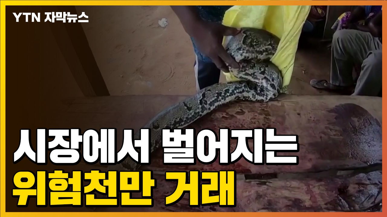 [자막뉴스] 아직도...시장에서 벌어지는 '위험천만' 거래 / YTN