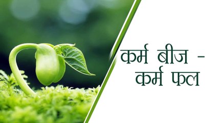 कर्म बीज - कर्म फल