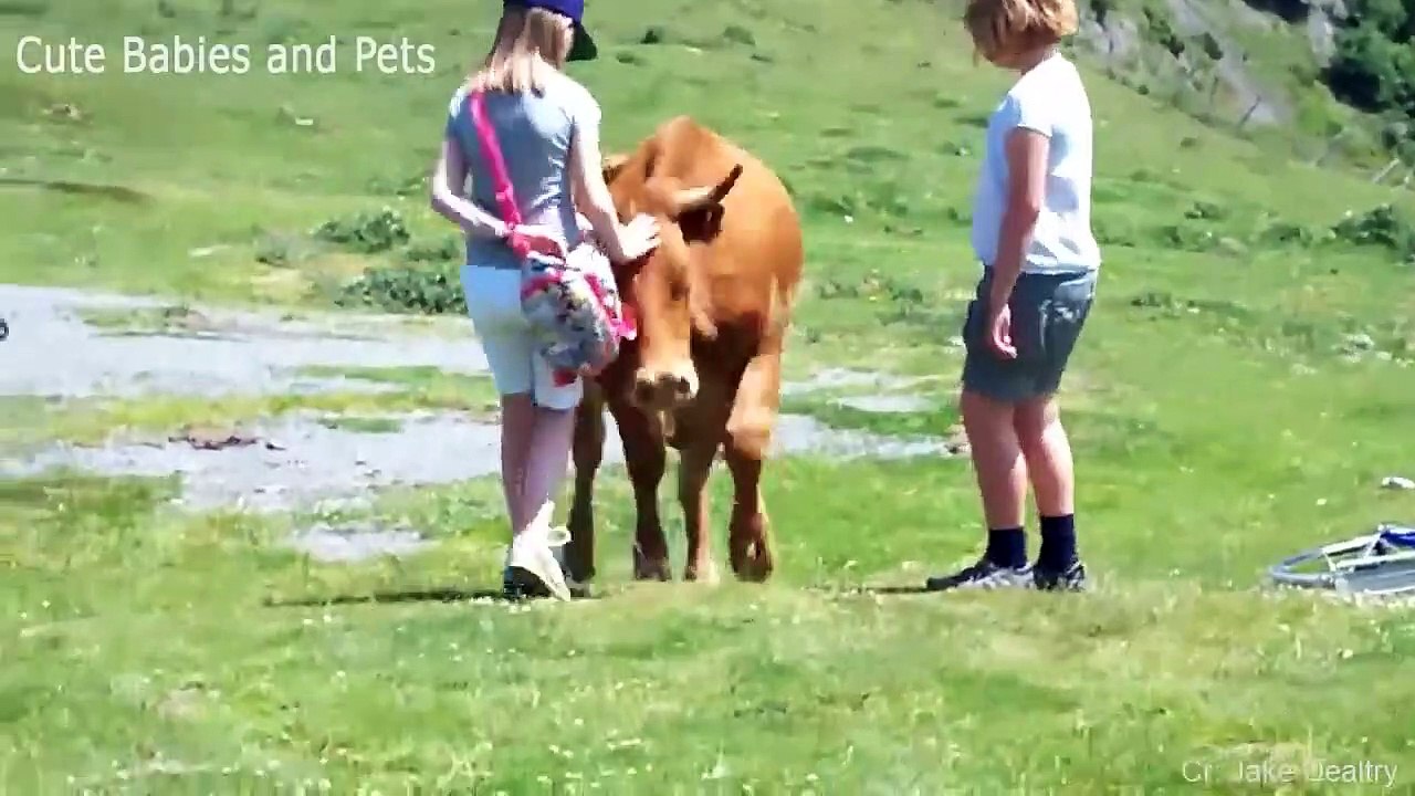 Funniest Animals Scaring People Reactions Of 2020 Weekly Compilation  Funny Pet Videos