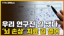 [자막뉴스] 뇌 손상 치료 길 열렸다...국내 연구진 처음 확인 / YTN