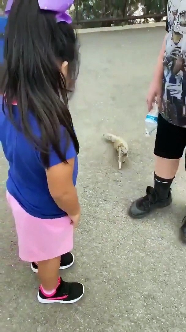 Best videos, Top videos, Viral videos Funny videos no. 116