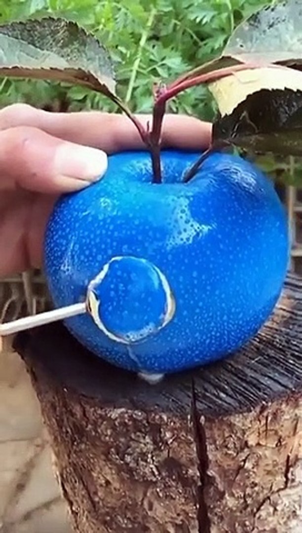 Best videos, Top videos, Viral videos Funny videos no. 115