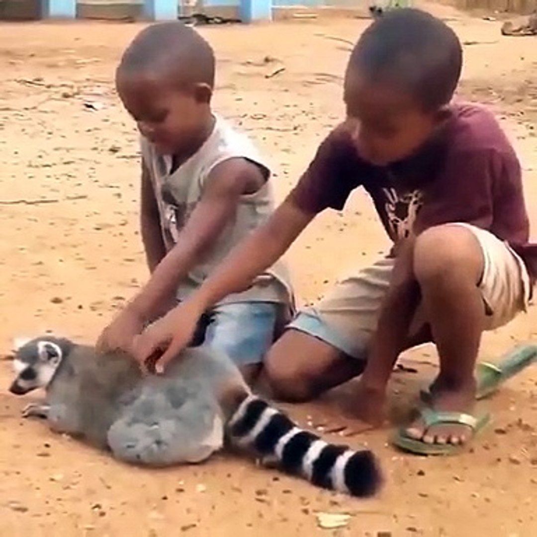 Best videos, Top videos, Viral videos Funny videos no. 117