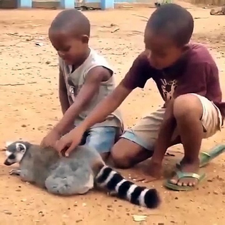 Best videos, Top videos, Viral videos Funny videos no. 117