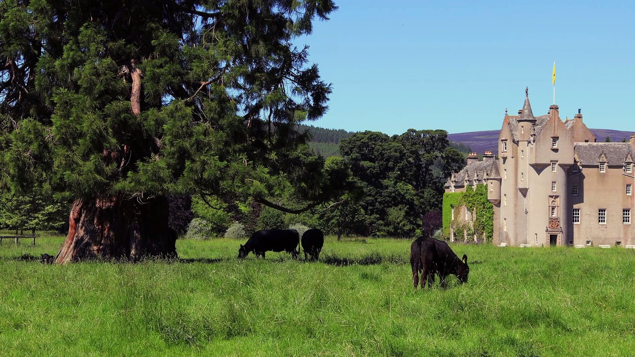 Look Back in Angus Trailer