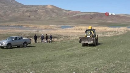Son dakika haberi | Erçek Gölü'ndeki inci kefalleri ölüm tehlikesinden kurtuldu