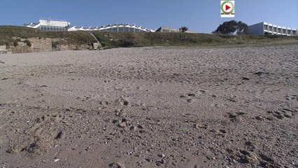 Quiberon  |   En mode People - Bretagne Télé