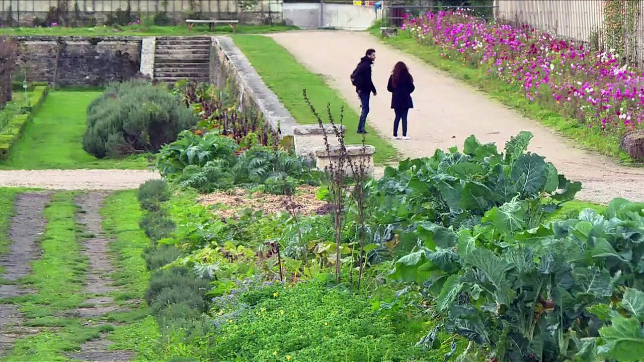 A Versailles, le Potager du Roi cherche des mécènes