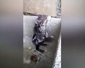 Milyonlarca kez izlendi, gerçek bakın ne çıktı!