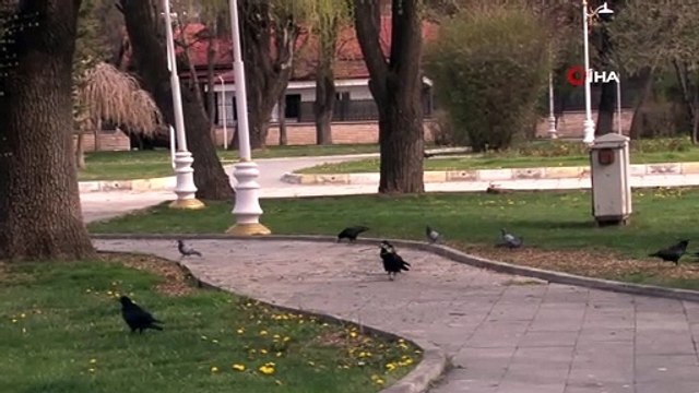 Erzincan’da hafta içi yoğunluk olan caddeler kısıtlamayla sessizliğe büründü