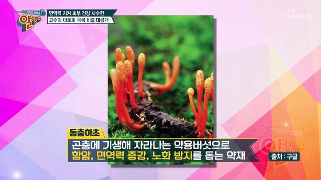 염증 억제 및 피부 재생에 효과적인 〈○○○○〉 TV CHOSUN 20210417 방송