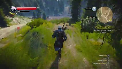 Lets Play The Witcher 3 Nach der Story