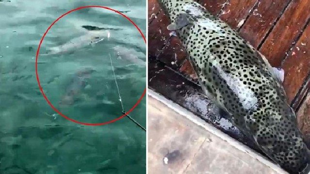 Lara sahilinde korkutan görüntü