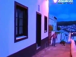 Cão de Fila de São Miguel - Saint Miguel Cattle Dog - Facts and Information