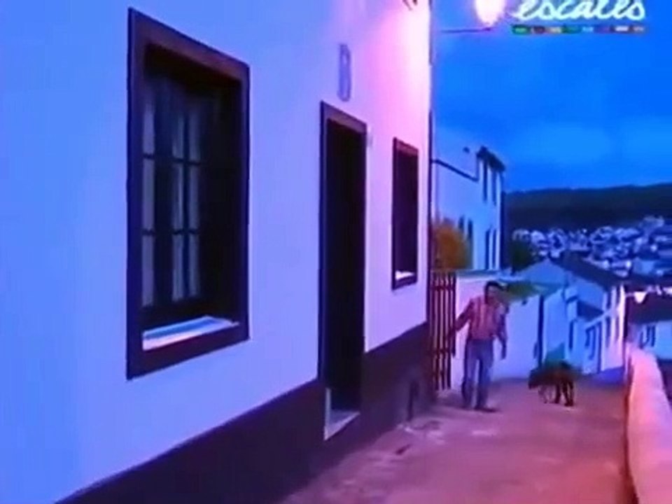 Cão de Fila de São Miguel - Saint Miguel Cattle Dog - Facts and Information