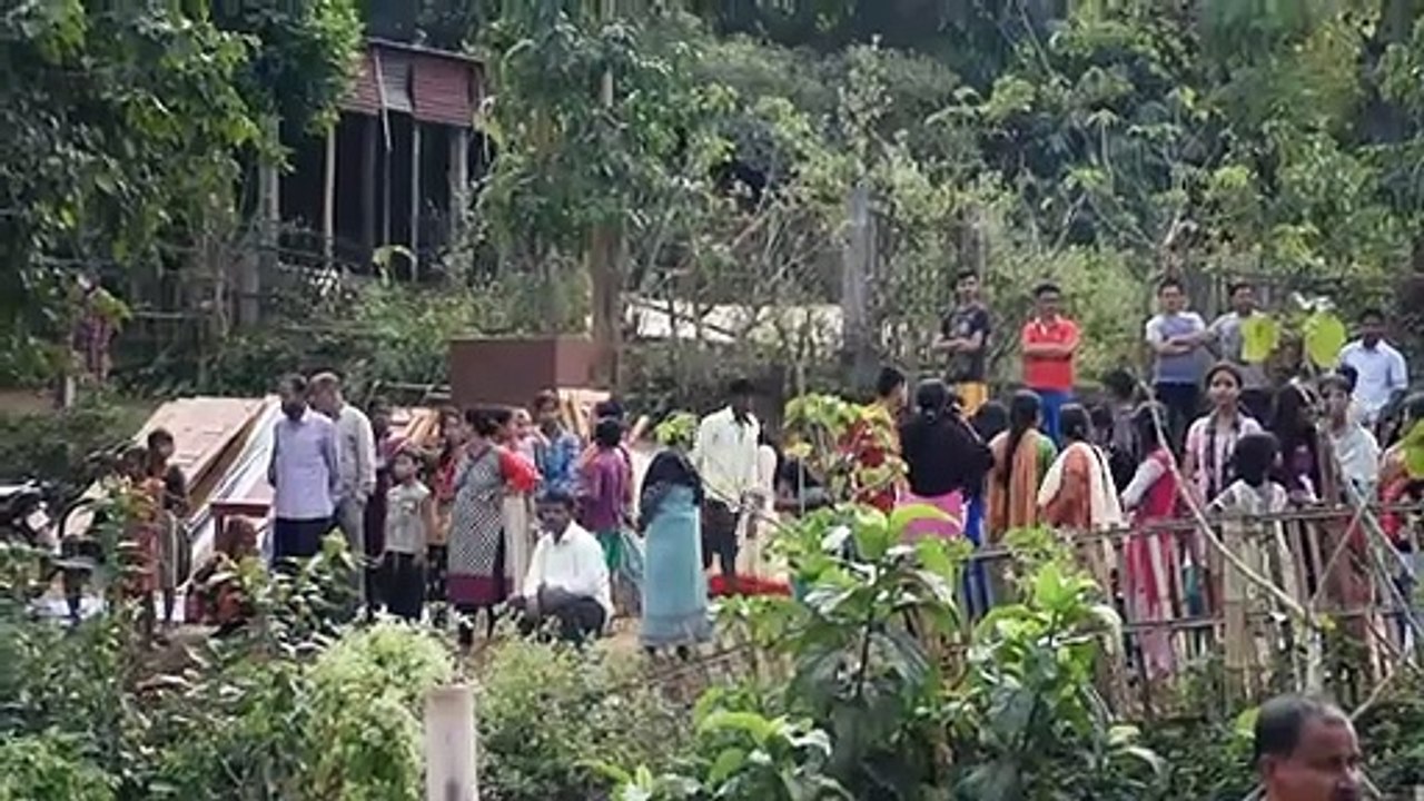 Inde: des éléphants utilisés comme engins de chantier