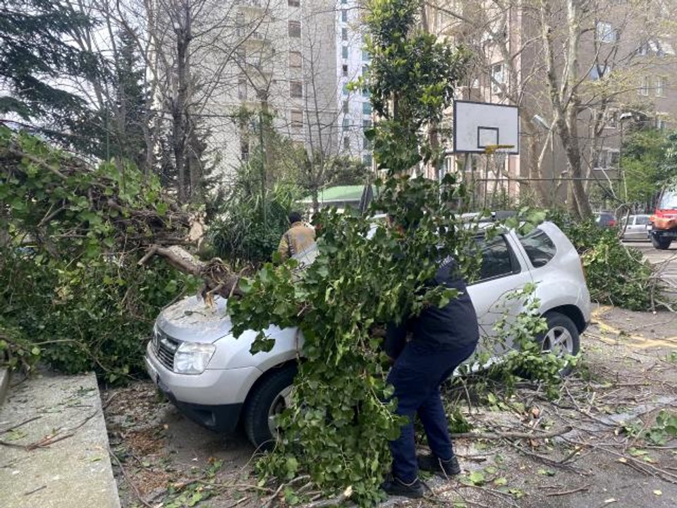 Kadıköy'de park halindeki otomobillerin üzerine ağaç devrildi