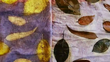 Botanical Printing on Fabric and Paper Teaser