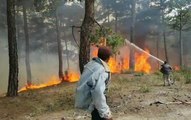 DENİZLİ'DE ORMAN YANGINI, 3 SAATTE SÖNDÜRÜLDÜ; 4 HEKTAR ALAN YANDI