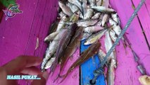 Mancing Ikan  Di Kampung Pedalaman, Spotnya Melimpah Bikin Iri#59
