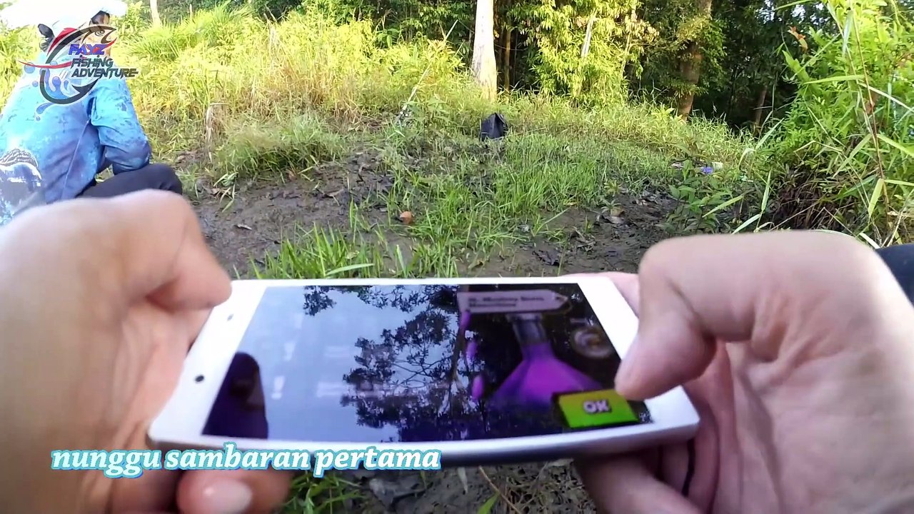 Mancing IKAN TOMAN_GIANT SNAKEHEAD umpan DAGING AYAM strike PENUTUP TAHUN 2018 #61