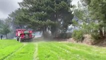 Son dakika haberi | Çıkan orman yangınında 4 hektarlık alan zarar gördü