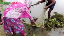 Traditional Net Catch Fishing in The river Net fishing techniques net fishing in Rivers