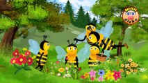 Cartoon Bee -Crazytalk Animator 3
