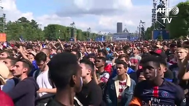 Euro 2016: joie des supporters français après la victoire
