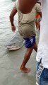 Pescadores rescataron a tiburón en la atrapado en la orilla del mar en Unguia, Chocó
