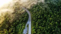 Amazing Aerial View Of Road Passing Through Forest 8k