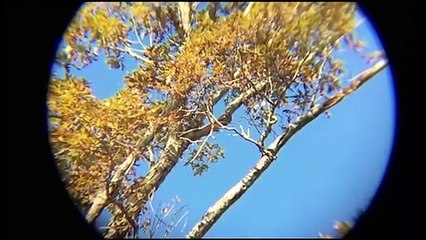 YA VIENE: Enchufe 2020