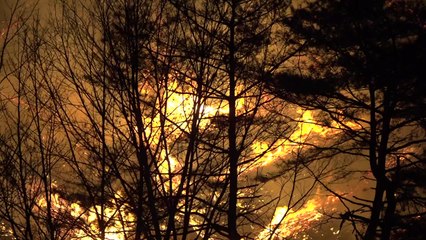 [날씨] 단비 효과 이틀이면 '끝'...이번 주 산불 비상경계 / YTN