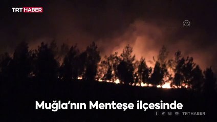 Muğla'da iki farklı ormanlık alanda yangın