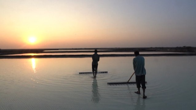 India's small salt farmers see their livelihoods threatened by climate change