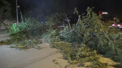 Fırtına yıktı geçti...Ağaçlar devrildi, iskeleler ve bahçe duvarları çöktü