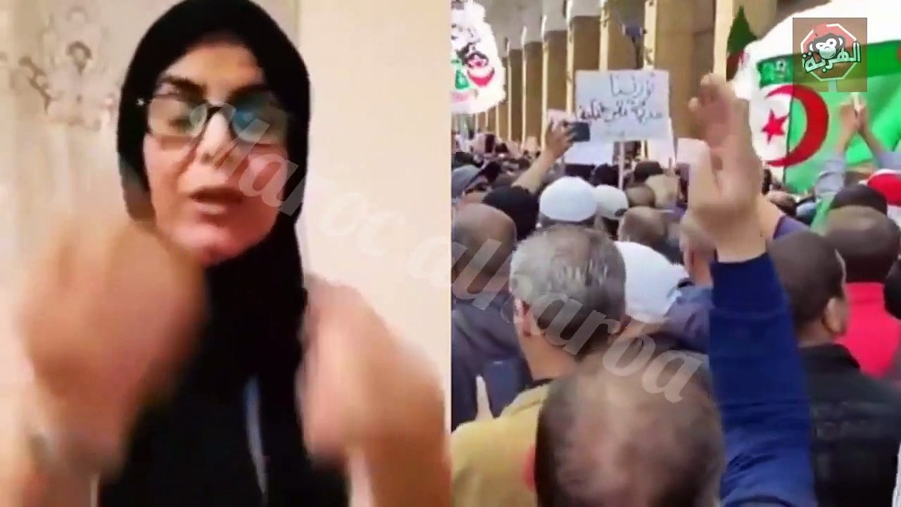 جزائرية تلخص قصة النظام الجزائري وتشكر المغرب على اهتمامه بشعبه