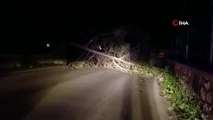 Bodrum'da fırtına etkili oldu: Ağaçlar devrildi, elektrik nakil hatları koptu