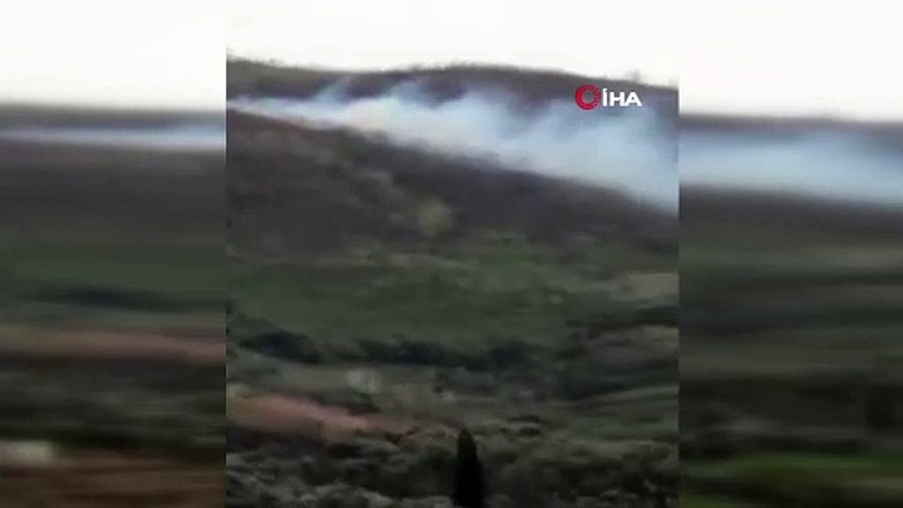 İzmir'de orman yangını: 500 kestane ve meşe ağacı yandı