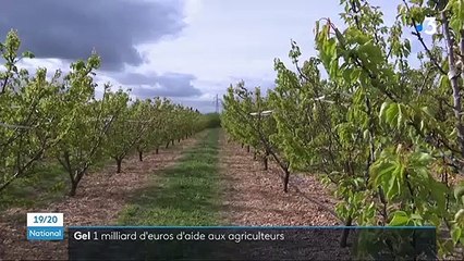 Gel : le gouvernement annonce la mise en place d'un fonds de solidarité d'un milliard d'euros