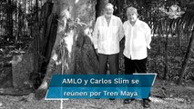 AMLO y Carlos Slim evalúan avance en la construcción del Tren Maya